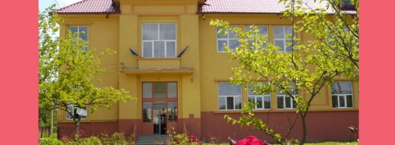 Read more about the article PLAN DE ȘCOLARIZARE